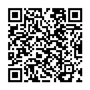 恶汉三也是号称蛮域十八座大陆同代之中三大天才之一二维码生成