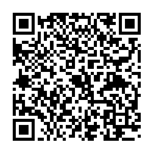 恶魔阵营需要死保小威尔的存活……并且最终目标是激活魔法阵……二维码生成