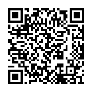 悄寂无声的院门外突然响起太监拉长嗓子的唱喏二维码生成