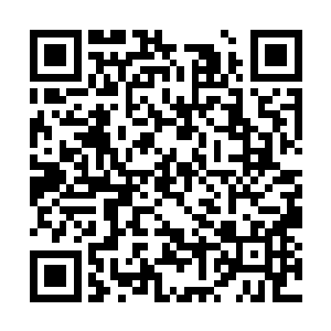 悄悄的一点一点接近刚才那个伏叶虫进的那个洞口二维码生成