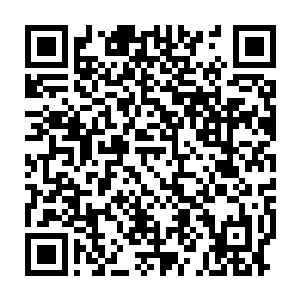 悄悄的取出一颗拳头大小的红色浆果以及两颗核桃大小的黑色珠子二维码生成