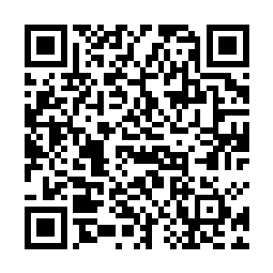 悠悠双手抓着张小凡里面的一件衬衫以固定自己的身躯二维码生成