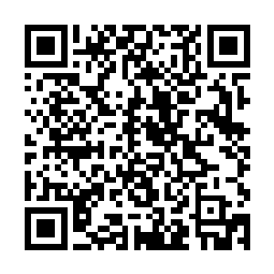 悦心洗完帕子的时候看到的那朵花比这个要复杂的多二维码生成