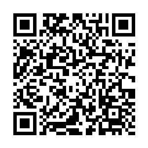 您一定就是卢库先生之前提起过的威大公司老板苏芷妍女士二维码生成