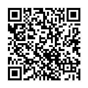 您不是说还要将东南航空打造成为全世界最大的航空公司的么二维码生成