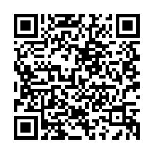 您不能干涉我关于青年城以及海盗谷的整个经营权二维码生成