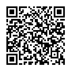 您也很难再短时间内生产出足够多的盘尼西林占据整个世界市场二维码生成