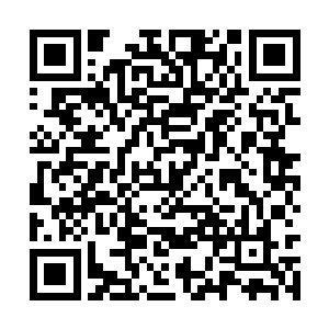 您可以进入神山族传承庙宇之中接受神山族的传承二维码生成