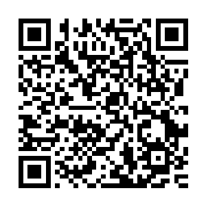 您同九妹妹回京的时日不过三个月……我并不是说证据的真伪二维码生成