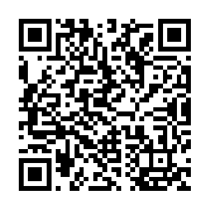 您哪有来的自信能够对付杜家以及杜家要请的那些古武家族二维码生成