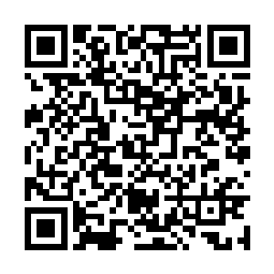 您就甘心把跟太守府的婚事拱手相让给大小姐了吗二维码生成