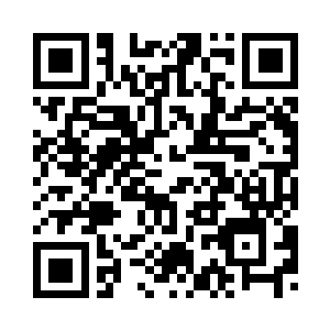 您是今天晚上行动还是明天再行动二维码生成