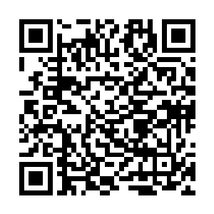 您是把陆严当做知己还是想在他身上寻找陆云的影子二维码生成