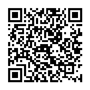 您曾经在前一次的比赛中用一株龙王兰震撼了世界二维码生成