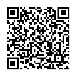 您现在在我们的犹太复国组织中可是天神一般的人物二维码生成