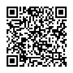 您的意思是……这个项目有可能已经逃出来了吗二维码生成