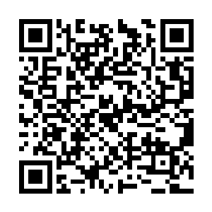 您看您何必与我这样的一个小人物一般见识呢……二维码生成