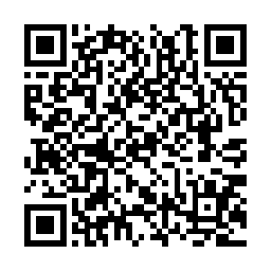 您看我是不是还是向洪文景稍微透露一下您的身份二维码生成