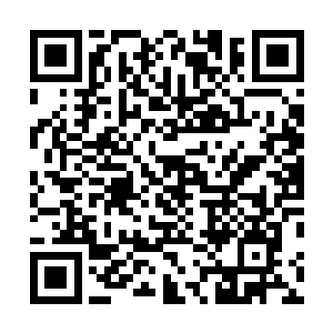 您觉得让他们四个地尊初期巅峰去应战四个地尊初期如何二维码生成