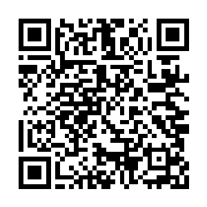 您输出的这么多冗余信息肯定弄得他们头昏脑涨二维码生成