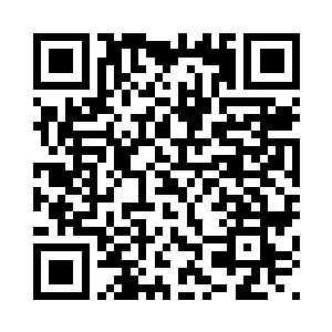 您这位中央电视台最著名的主持人二维码生成