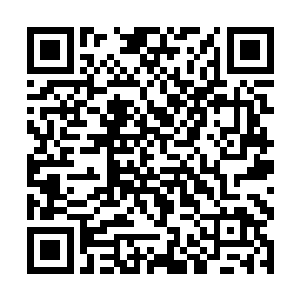 悬浮在高处的金乌大帝双眼紧紧盯着屏障之中的乌啼二维码生成