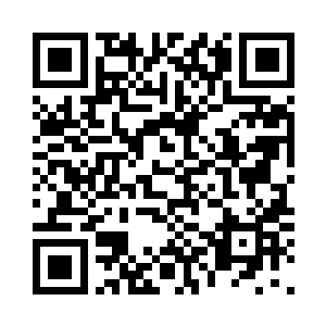 悬狸跑出去的时候苏落并没有跟出去二维码生成