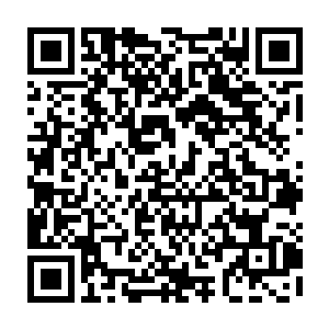 悬铃迷迭槐散出的魔音会在迷惑你心神的同时让你看到的空间变得扭曲起来二维码生成
