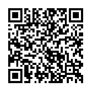 情不自禁的回忆起武魂一脉关于九大传人齐出的那种辉煌时代二维码生成