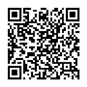情不自禁的回忆起自己以前和大哥长阳虎在一起的一幕幕二维码生成