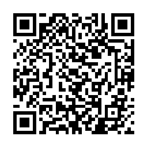 情知自己终于又看到了白公子在这世界上的一张底牌二维码生成