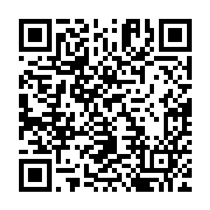 情窦初开的你姐就会看上另外一个德才兼备还长得好看的少年人二维码生成