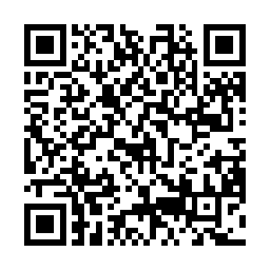 情绪非常不对琴瑟色想过一夜让原奶娘冷静些再问缘由二维码生成