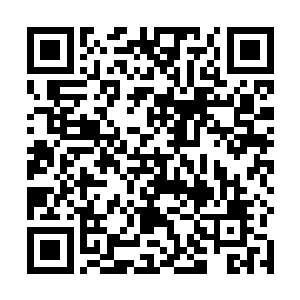 惊人的气势从十几个海族武者结成的战阵之中爆发出来二维码生成