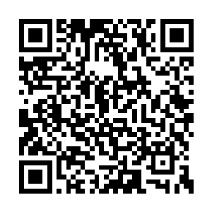 惊叹说自己如果去当模特无疑是最佳的衣服架子二维码生成