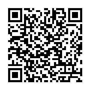 惊呼一声直接瞪大了眼珠子弓起身子很不雅观地蹲在地上二维码生成