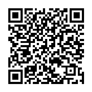 惊恐地看着门前正在高速相遇的荣光和出击的巴西门将多尼二维码生成