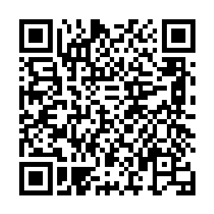 惊恐的盯着他不知道什么时候打碎茶杯抓在手心的碎片二维码生成