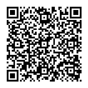 惊悚乐园中的大部分攻击技能都没有明确的伤害数值……这是个很明显的隐性设定二维码生成