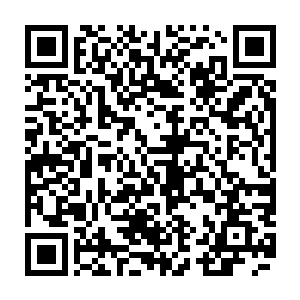 惊悚乐园的客服系统有一半以上的工作是由光脑完成的――许多简单的问题二维码生成