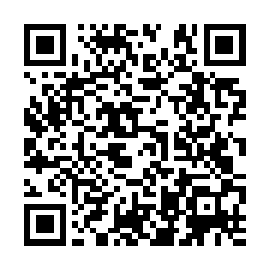 惊疑不定的盯着雪如楼的垂落到身体两侧的手问道二维码生成