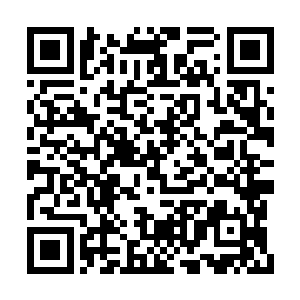 惊讶地发现那支鼓乐队奏乐已经奏到了卧寝门口二维码生成