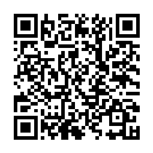 惜君仅凭速度和血衣加持到的力量也变得极端的恐怖二维码生成