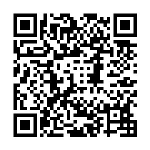 惜雨也是认出了火炎金同样是家主叮属他们寻找的东西二维码生成