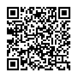 惠什只能挤出一个小时的宝贵时间让陈村作准备二维码生成