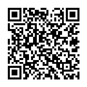 惯性的思维模式瞬间主导了奥利维亚全部的行为模式二维码生成