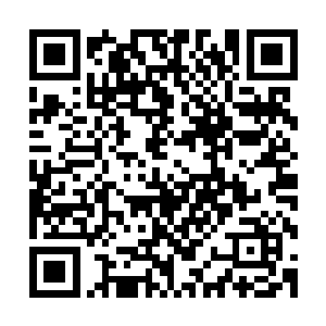 想一句足已载入……哪怕是浮戈城中小学乡土教材的豪言壮语二维码生成