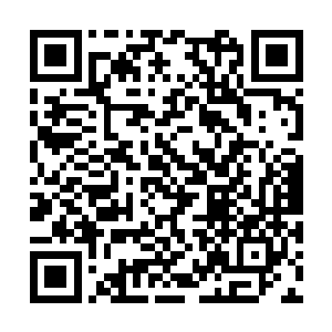 想不到一个小小的杀手就能让你李大护法亲自出马二维码生成