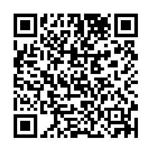 想不到一个小小的玄命境的弟子竟然采到了这清灵草二维码生成