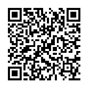 想不到东华山脉深处还有这样的高手……神阳兵团二维码生成